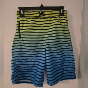 Body Glove Striped Green and Blue Board Shorts
